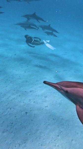 Freediving at Sataya film still