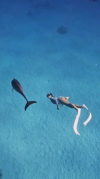 Freediving at Sataya film still